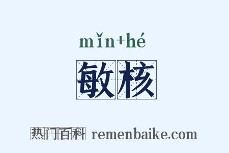 敏核是什么意思的图片